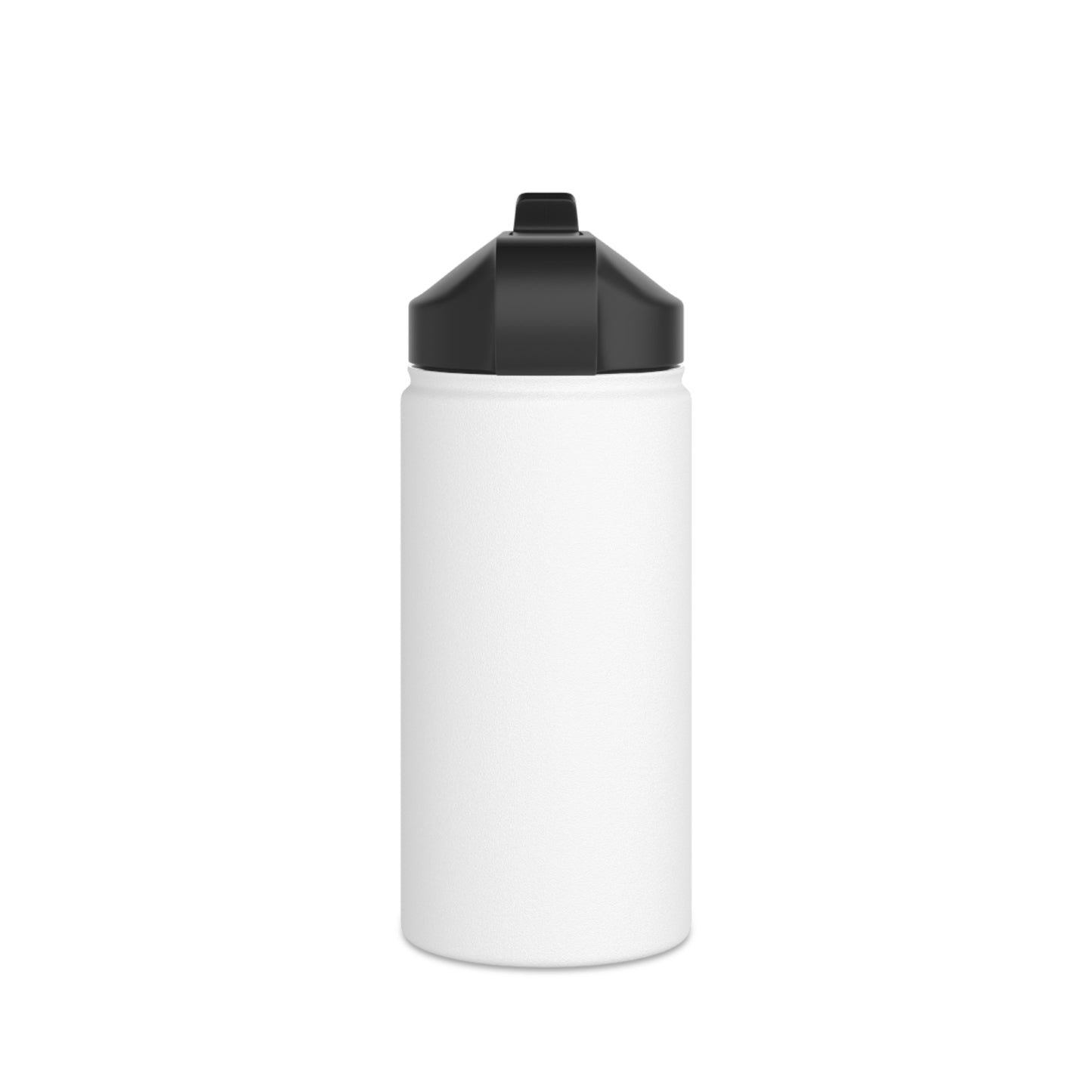 Mr. Kooly Stainless Steel Water Bottle, Standard Lid