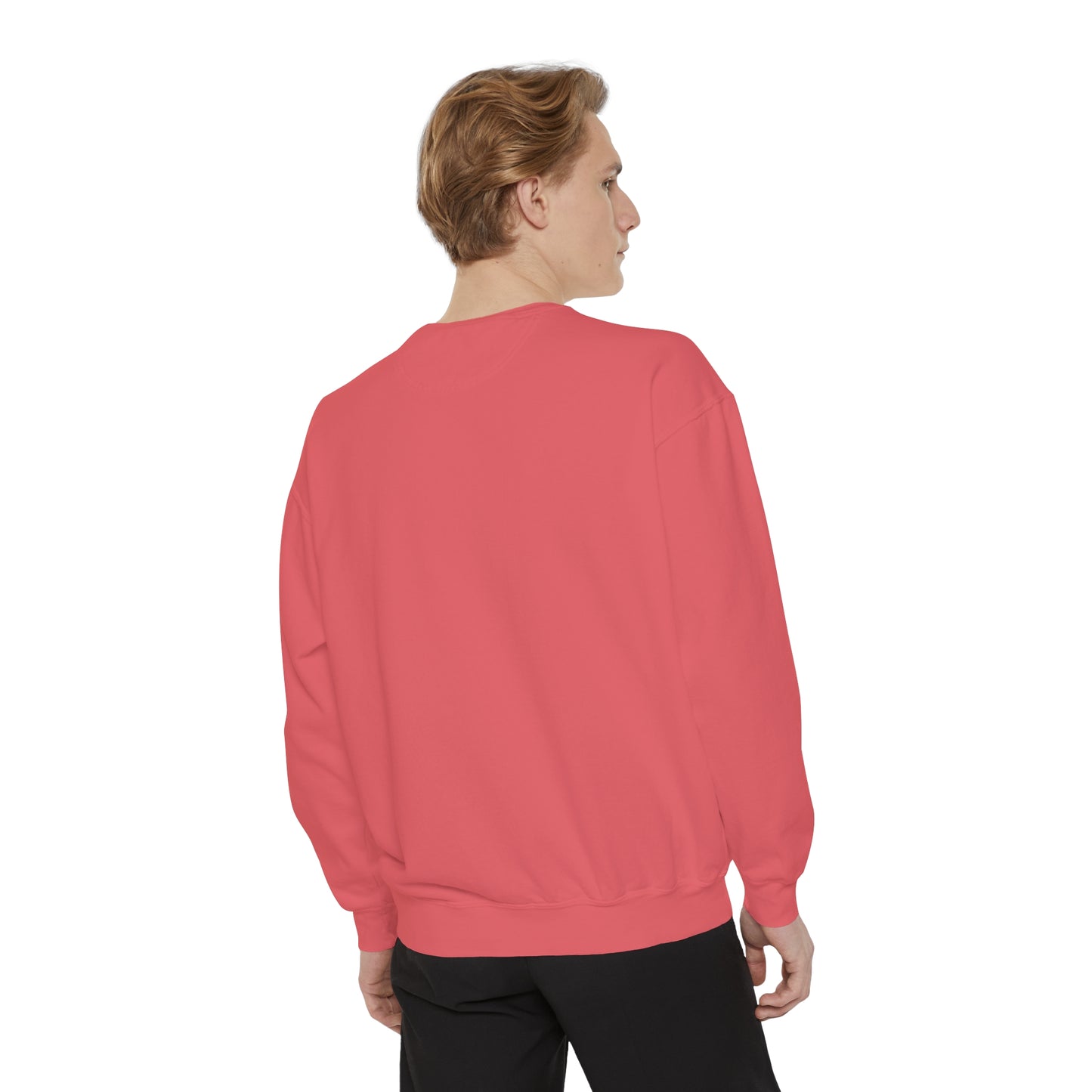 Mr. Kooly Unisex Garment-Dyed Sweatshirt