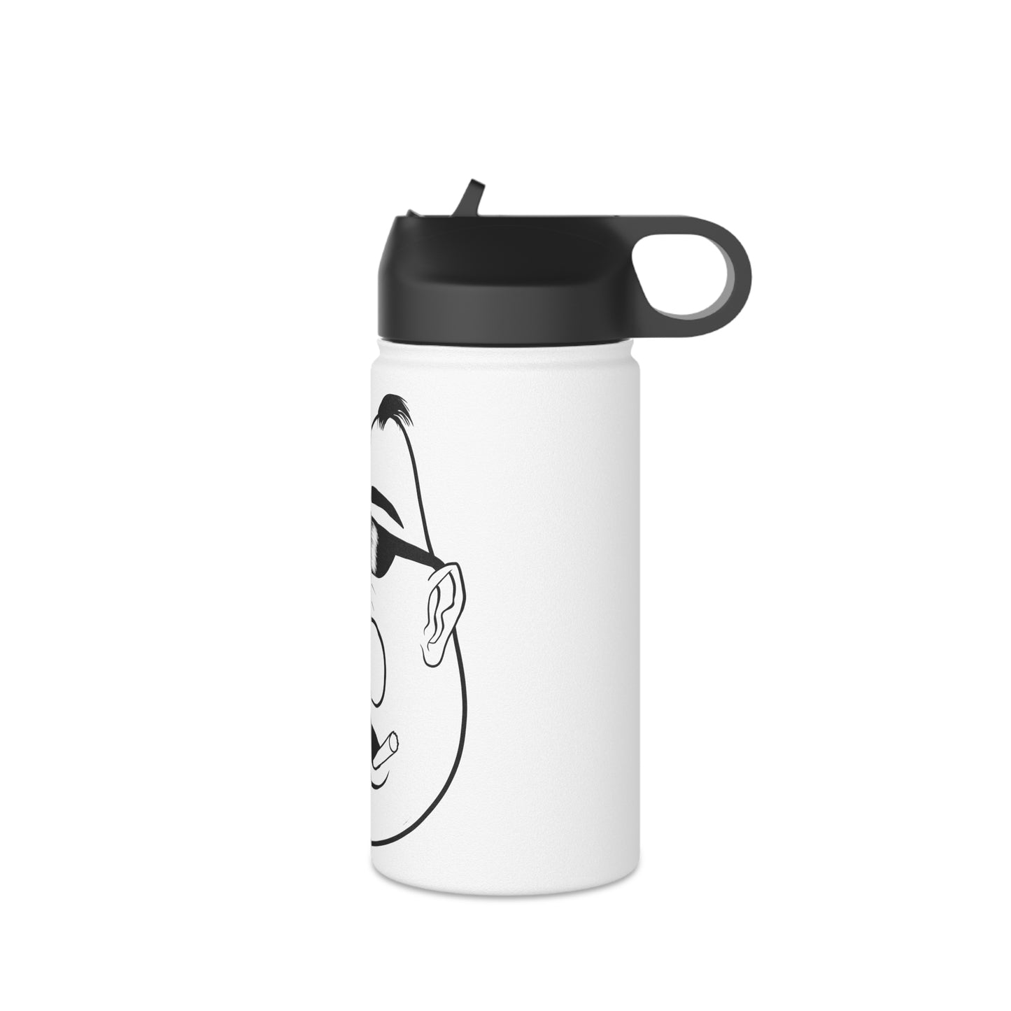 Mr. Kooly Stainless Steel Water Bottle, Standard Lid